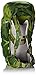 Osprey Unisex-Kid's Ace 75, Ivy Green One Size