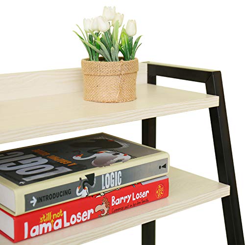 HOME BI Multi-Functional Computer Desk with Hutch and Storage Bookshelf Writing PC Laptop Study Table Workstation for Home Office, 39.37" x 18.9" x 54.5"