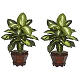 Nearly Natural 6712-GD-S2 Dieffenbachia with Wood Vase Decorative Silk Plant, Golden, Set of 2