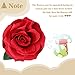 Silk Red Rose 10 Heads SOLEDI Artificial Flower French Rose Fake for Bridal Bouquet Wedding Living Room Table Home Garden Decoration