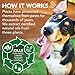 Vet's Best Flea and Tick Treatment Combo Kit | Flea Treatment for Dogs | Flea Killer with Certified Natural Oils