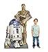 R2-D2 & C-3PO (Star Wars Episode III) Life-Size Standup Poster , 46x70