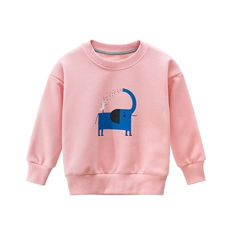 baby boy sweatshirt
