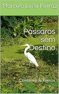 Livro Pássaros sem Destino: Coletânea de Poesias