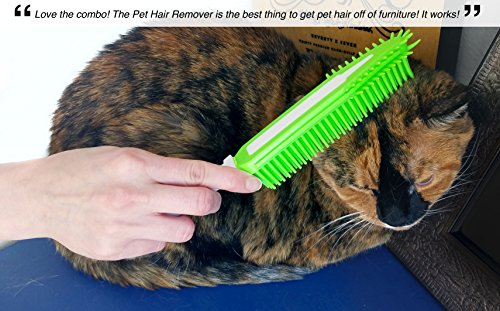 Small Animal Grooming Set - Includes Pet Hair Glove and Pet Hair Removal Brush - Reduces Shedding - Safe for Cats, Bunnies, Guinea Pigs, and Other Small Animals              - Thumbnail 4