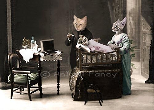 Cat Art Print - "House Call"