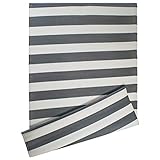 DII Contemporary Indoor/Outdoor Lightweight Reversible Fade Resistant Area Rug, Great For Patio, Deck, Backyard, Picnic, Beach, Camping, & BBQ, 4 x 6', Gray/White 3.5" Stripe