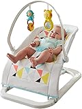 Fisher-Price Fun and Fold Bouncer