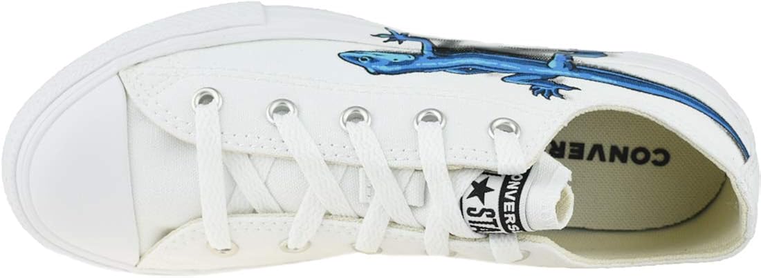 converse lizard shoes