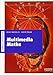 Multimedia Maths (Campus Handbook) by Bieke Masselis, Ivo De Pauw