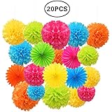 SZBAIDEKJ Paper Pom Poms Color Tissue Flowers Hanging Paper Fans Celebration Wedding Birthday Party Halloween Christmas Outdoor Decoration-Set of 20