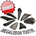 Best Rock Collection. Includes Huge Megalodon Shark Tooth, 2 Large Geodes and 3 LBS. (About 100 specimens) and Identification Chart.