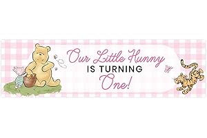 Andaz Press 13x48 Inch Large Classic Winnie The Pooh Birthday Banner, Pink Gingham Happy Birthday Banner, Our Little Hunny Is