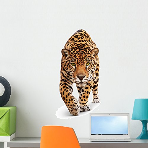 Animal Wall Decals Kritters in the Mailbox Animal Wall Decal