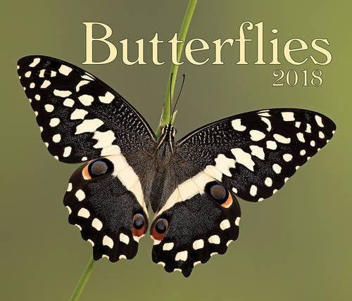 Butterflies 2018 Calendar โ Wall Calendar, June 1, 2017