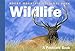 Rocky Mountain National Park Wildlife: A Postcard Book (Postcard Books) by 