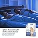 Bunion Corrector Adjustable Orthopedic Bunion Splint Toe Corrector Brace with Bunion Pads for Bunion Relief - Hallux Valgus Hinged Bunion Bootie for Nighttime Relief (2 PCS)