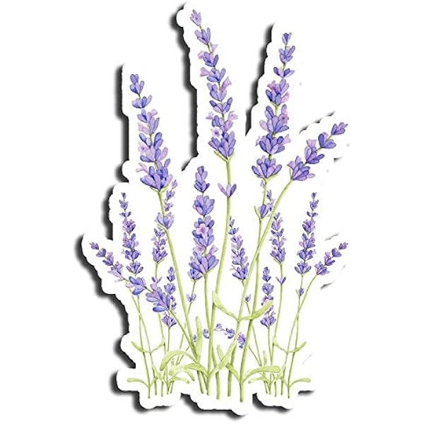 Amazon Com Purple Lavender Sticker Flower Stickers Waterbottle Sticker Tumblr Stickers Laptop Stickers Vinyl Stickers Computers Accessories
