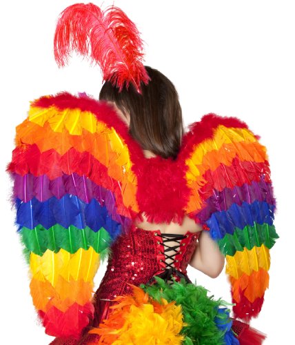 Roma Costume Rainbow Wings Costume
