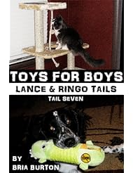 eBooks: Toys For Boys (Lance & Ringo Tails, #7) - Soul Attitude Press