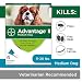 Flea and Lice Treatment for Dogs, 11-20 lb, 4 doses, Advantage II primary