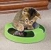 Resulzon Kitten Cat Games Toy with Fun Catching Rotating Spinning Mouse Scratch Pad