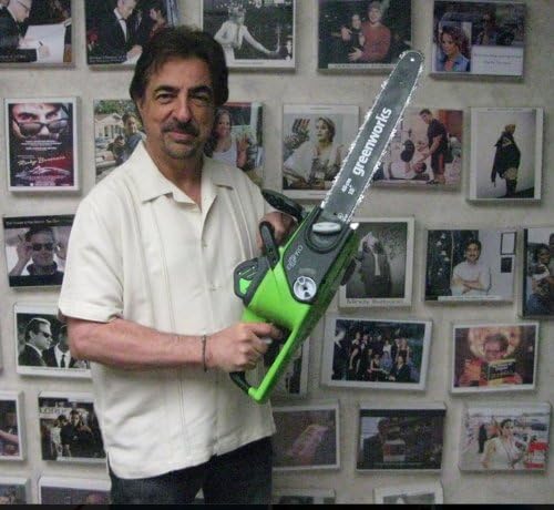 Greenworks 20312 Chainsaws product image 10