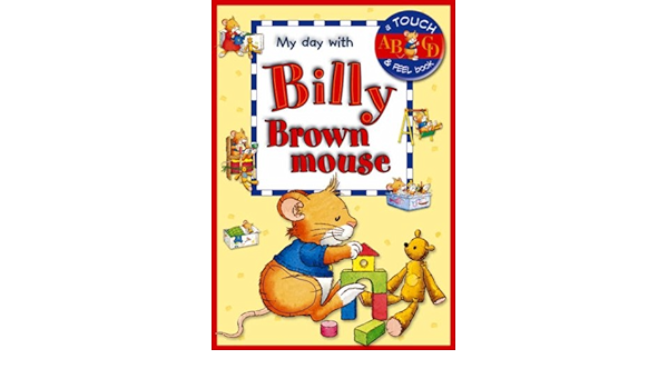 Billy Brown Mouse My Day With A Touch Feel Book Anna Casalis Marco Campanella 9781841353845 Amazon Com Books