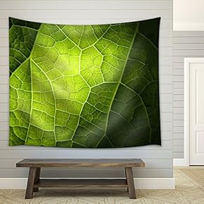 Panoramic View of Shabby Old Havana Street with Vintage Classic American Cars - Fabric Wall Tapestry Home Decor - 51x60 inches