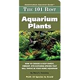 101 Best Aquarium Plants (Adventurous Aquarist Guide)