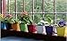 Aquaphoric Self Watering Planter (5”) + Fiber Soil = Foolproof Indoor Home Garden. Decorative Planter Pot for All Plants, Flowers, Herbs, African