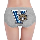 Villanova University Logo Open Crotch Panties Bikini Briefs for Womens