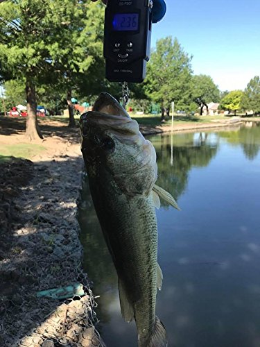 Drmeter-Backlit-LCD-Display-PS01-110lb50kg-Electronic-Balance-Digital-Fishing-Postal-Hanging-Hook-Scale-with-Measuring-Tape-2-AAA-Batteries-Included