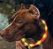 BSEEN Light Up Dog Collar, Glowing LED Dog Collar Rechargeable Cuttable Lighted Puppy Collar Safety Dog Lights Makes Your Beloved Dogs Be Seen at Night(Orange)