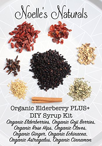 Organic Elderberry Plus+ Syrup Making Kit, Easy to make at home, Just add honey, Also includes Goji berries, Echinacea, Astragalus, Rosehips, Ginger, Cloves & Cinnamon, Makes about 20oz of syrup.