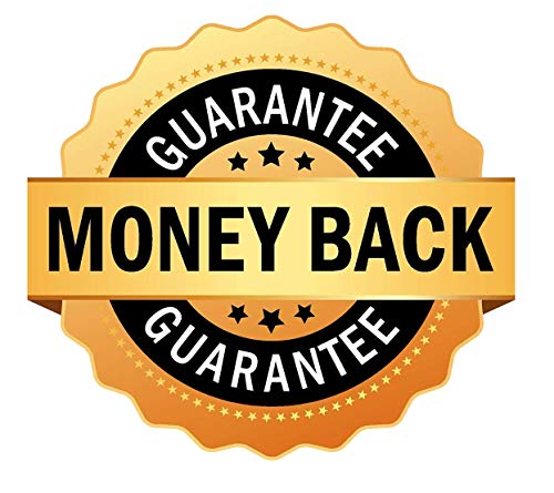 image for FLORIDA HERBS Chicory Root 1000 mg, Certified Organic Chicory Root, In