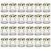 1.5 oz Hexagon Mini Glass Jars with Gold Lids and Labels (Pack of 24)