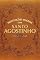 Livro Meditações diárias com Santo Agostinho: Confissões