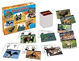 Animal Tracks Cards