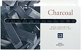 Pro Art Chalk Charcoal, 12 Stick Per package