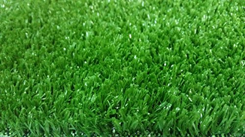 PZG Artificial Grass Rug w/ Drainage Holes & Rubber Backing | 2-Tone Realistic Synthetic Grass Mat | Extra-Heavy & Soft Pet Turf | Lead-Free Fake Grass for Dogs or Outdoor Decor | Size: 24' x 12' - Thumbnail 3