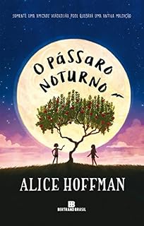 Livro O pássaro noturno