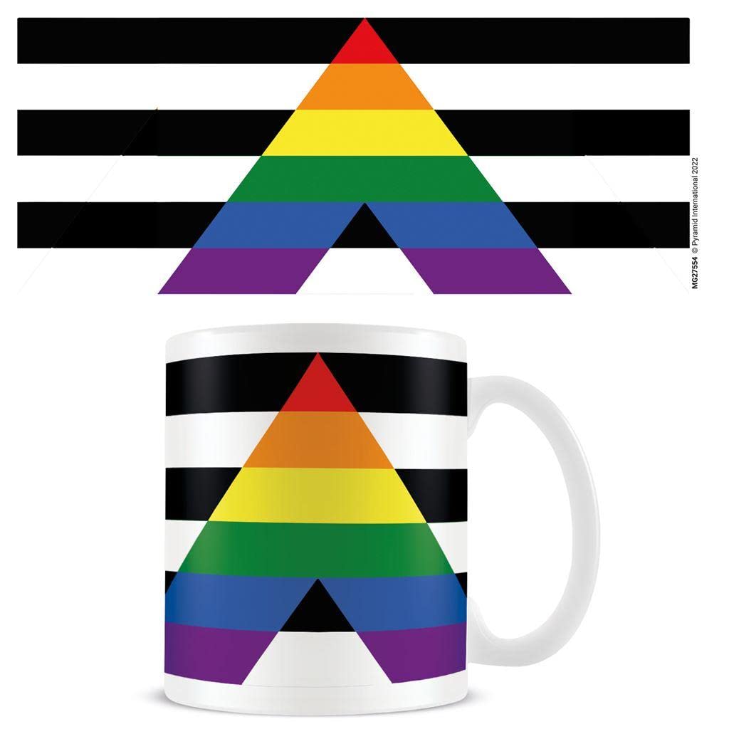 Pyramid International Ally Flag Mug (One Size) (Multicoloured)
