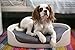 Keter by Curver Bunk Bed/Pet Carrier/Travel Crate with Cushions, 3-in-1 for Cats and Small Dogs, Small to Medium, Sandy/Misty Blue