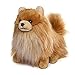Gund Boo & Buddy Plush Stuffed Dog Toy Cutest Dog in the World (Buddy)