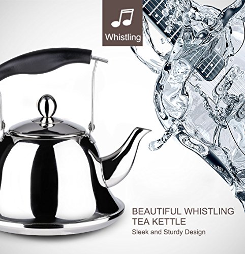 Whistling Tea Kettle with Infuser Stainless Steel Teapot Sliver Teakettle for Stovetop Induction Stove Top Fast Boiling Heat Water Cute Tea Pot 2-Liter 2.1-Quart