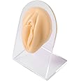 CHUANCI Soft Silicone Flexible Model Body Part Displays for Acupuncture human model simulation for jewelry display teaching tool (Female Labium)