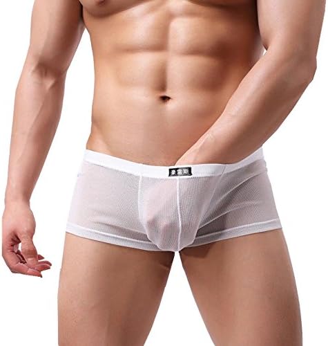 FeiliandaJJ Men's Boxer Briefs, Sexy Soft Perspective Mesh Comfortable Breathable Underwear