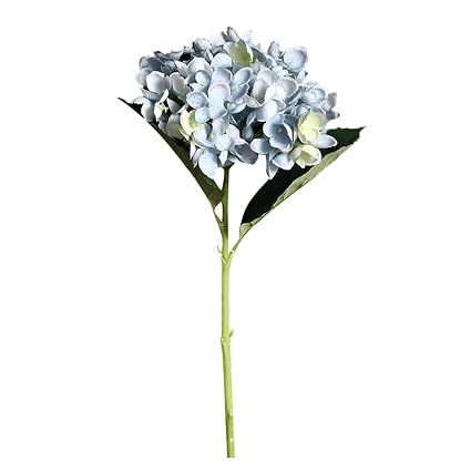 Bearbelly Hortensia Fleurs Séchées Naturelles Bouquet De