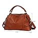 Hynes Victory Womens Luxury Hobo Handbag (Brown)